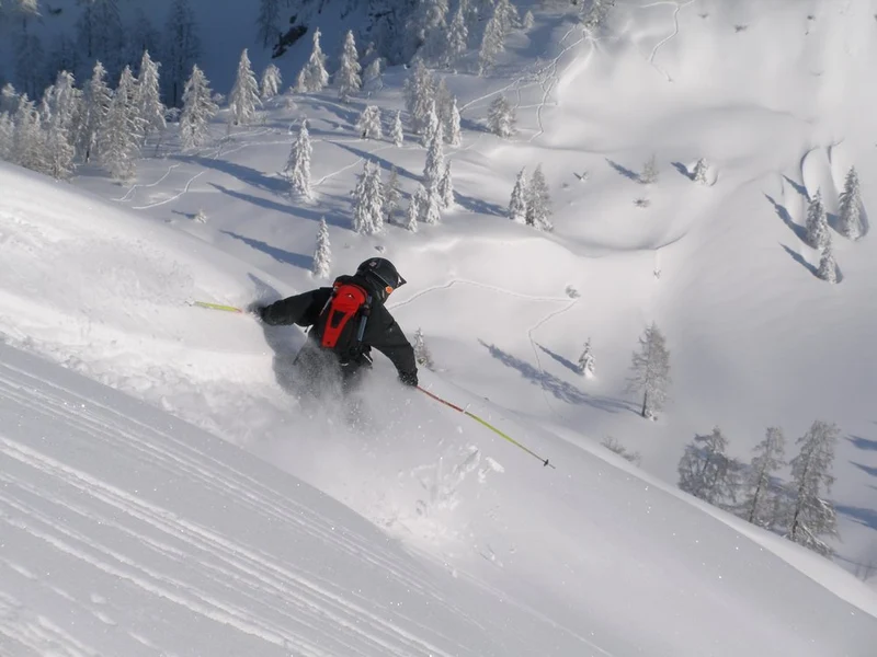 Alpine Powder Skier