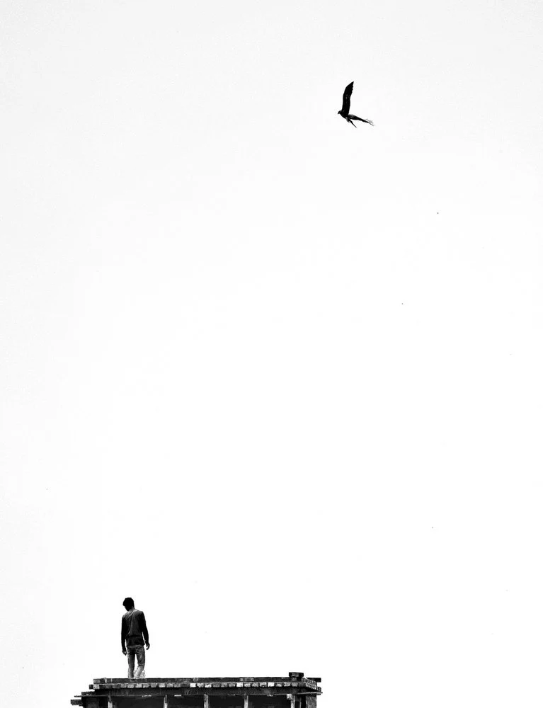 Lone Man Flying Bird