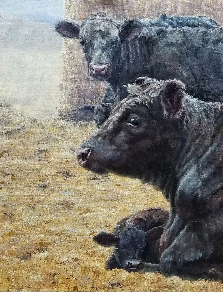 Black Cattle Family