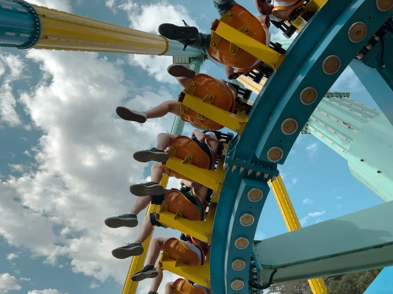 Amusement Park Thrills
