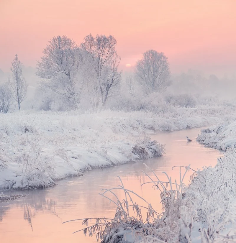 Pink Frosty River Morning