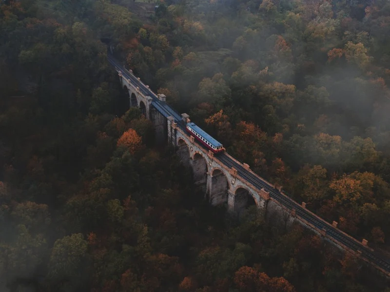 Misty Autumn Train