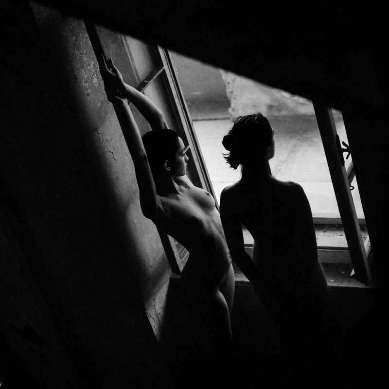 Window Light Bodies