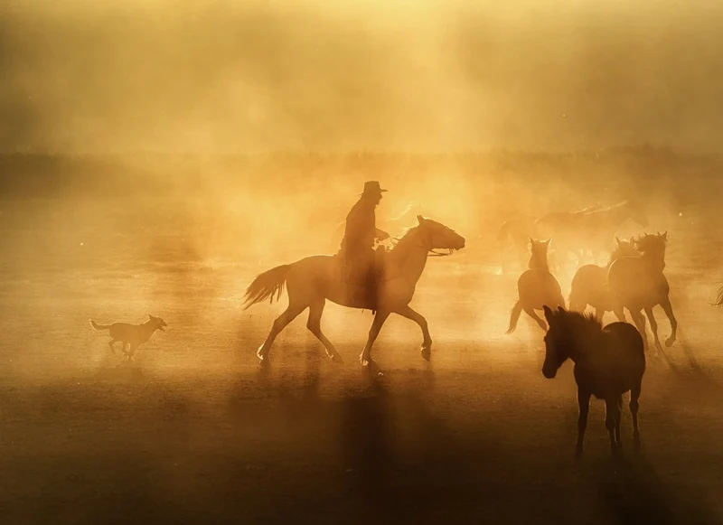 Wild Horses Golden Dust