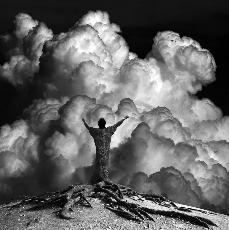 Grounded Spirit Rising
