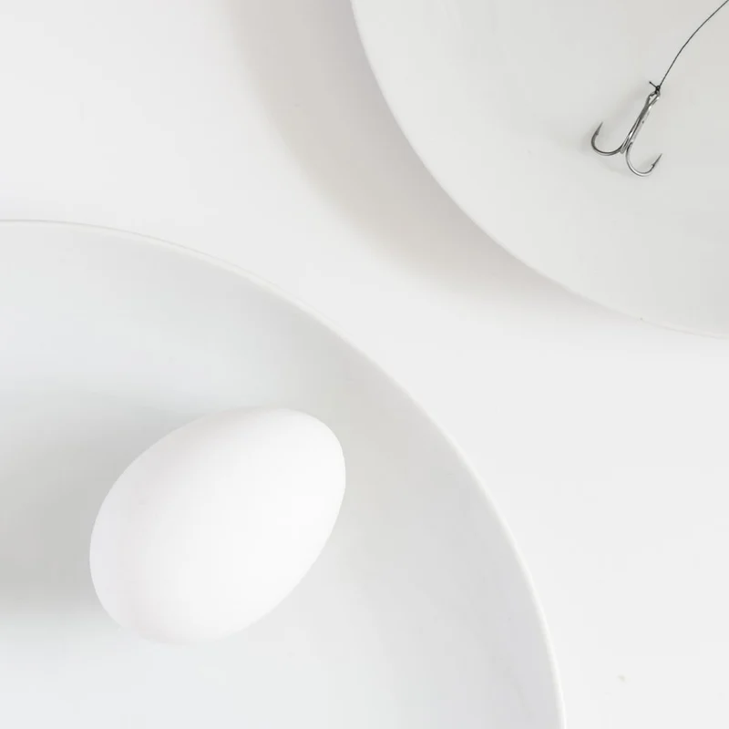 Egg and Fishing Hook