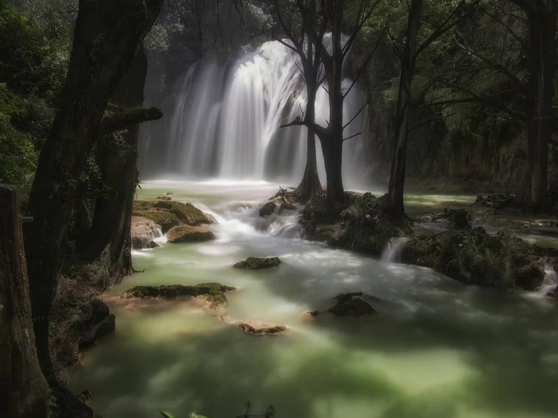Tranquil Forest Waterfall