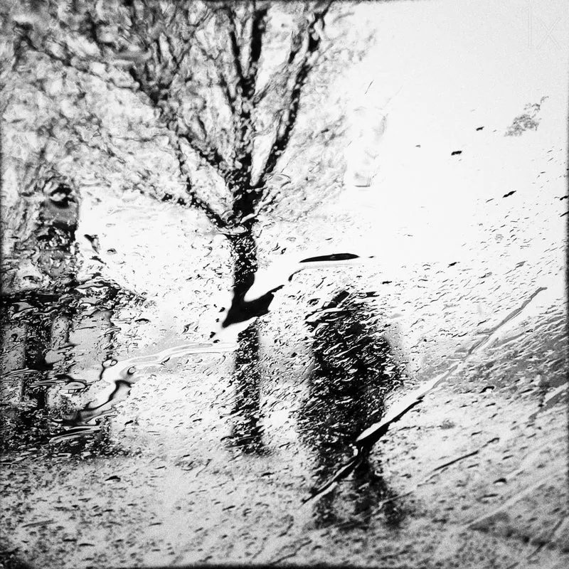 Rainy City Silhouette