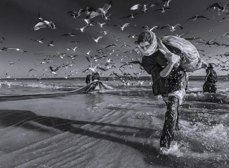 Fisherwoman And Gulls