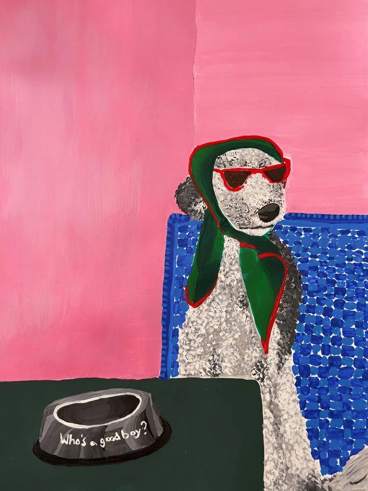Fashionable Poodle