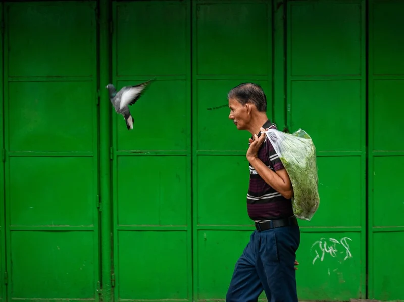 Man and Flying Pigeon