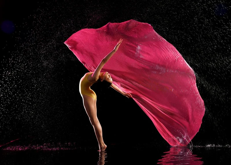 Graceful Dancer Pink Fabric