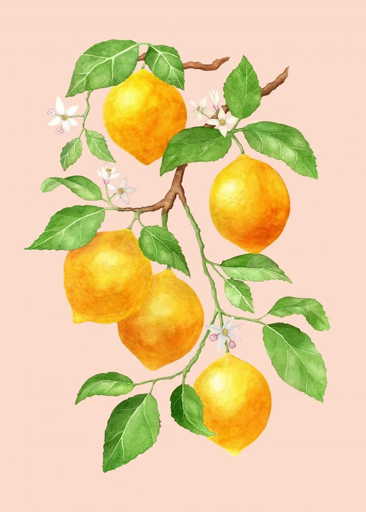 Vibrant Lemon Branch