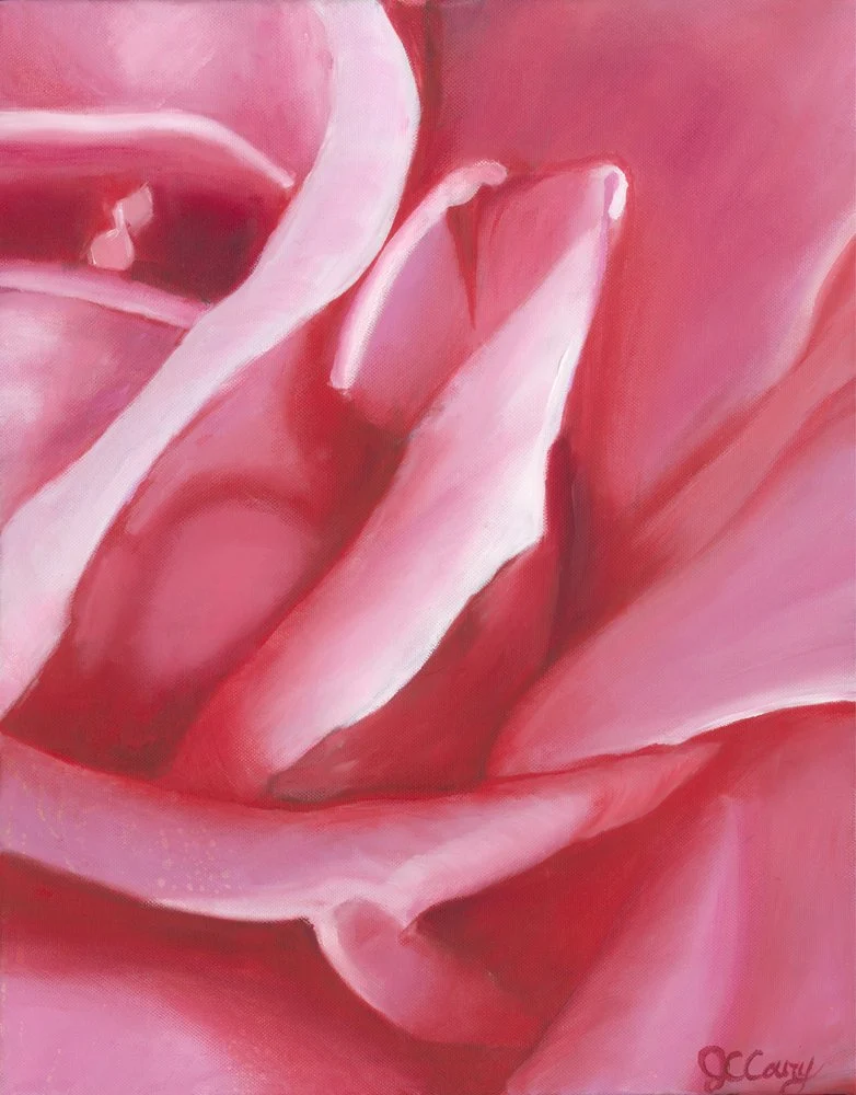 Soft Pink Rose Petals