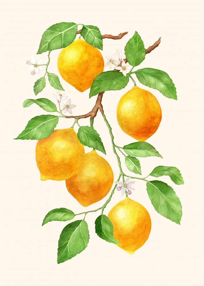 Vibrant Lemon Branch