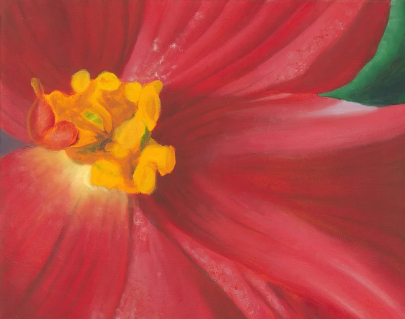 Vibrant Red Bloom