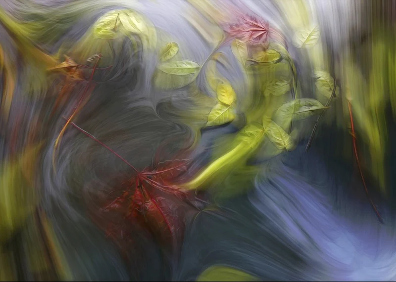 Swirling Autumn Flow