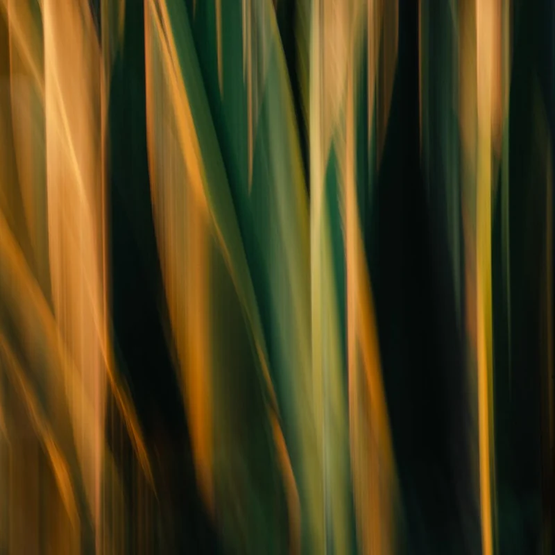 Golden Green Blur