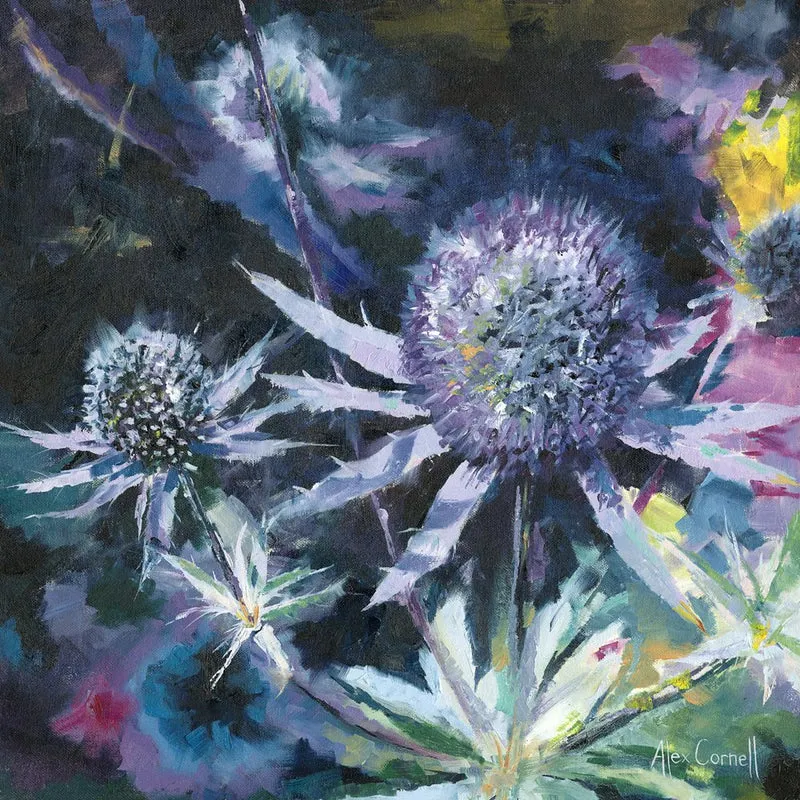 Blue Thistle Blooms