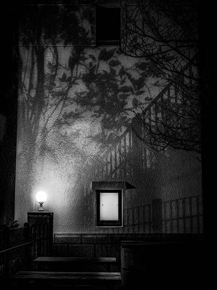 Tree Shadows Night Light