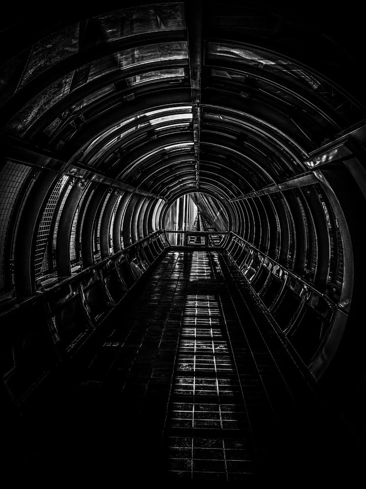 Deep Perspective Tunnel
