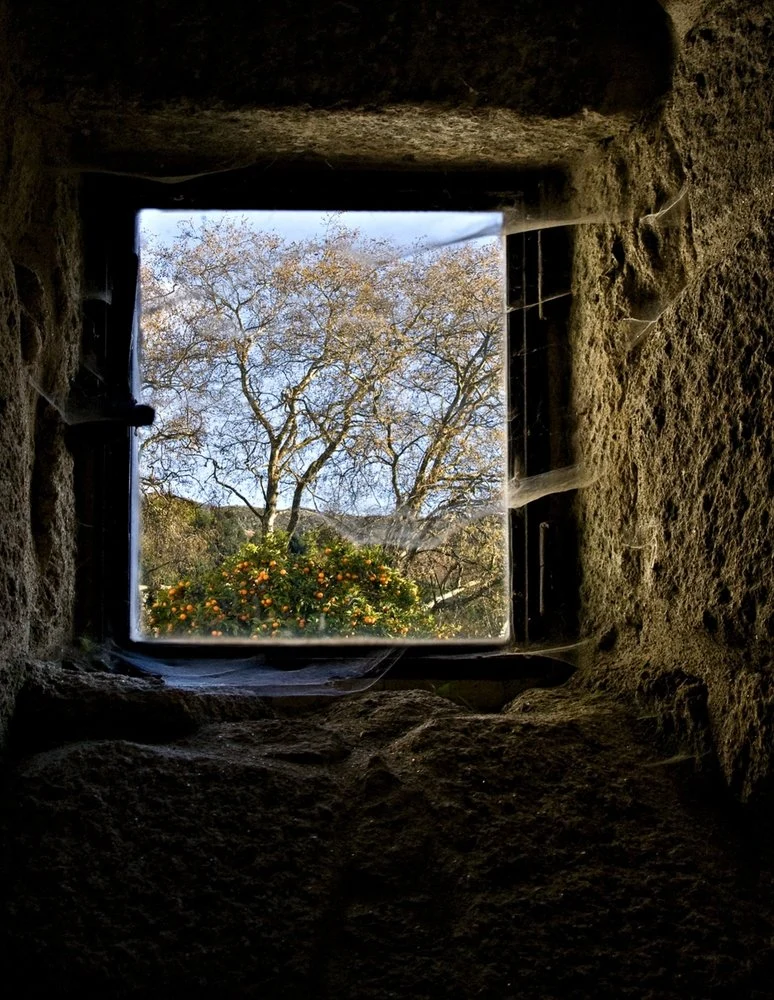 Rustic Window View