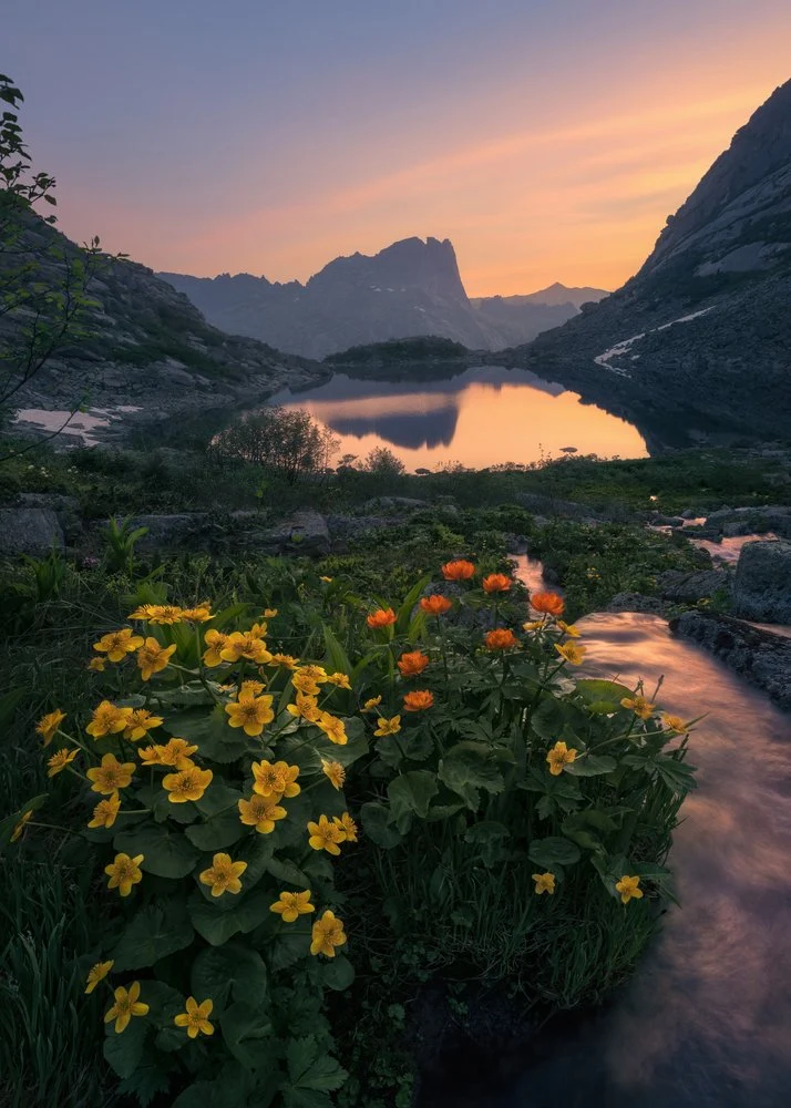 Alpine Lake Sunset Flowers