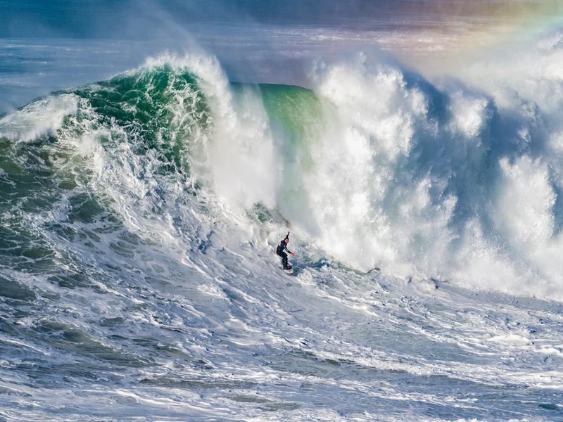 Giant Wave Surfer