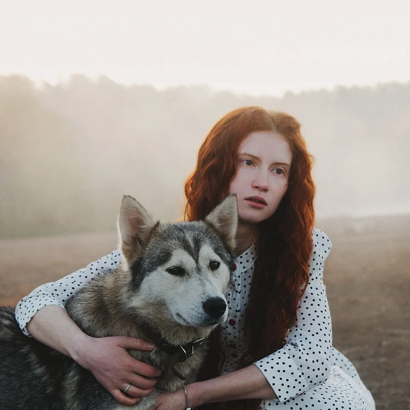Misty Husky Embrace