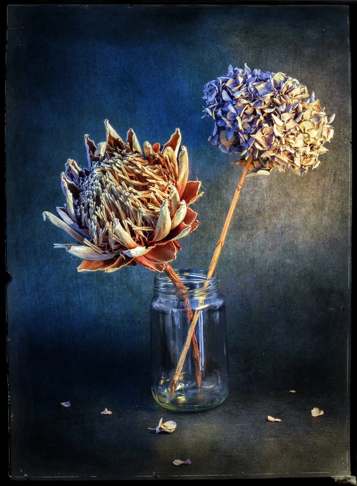 Moody Dried Blooms