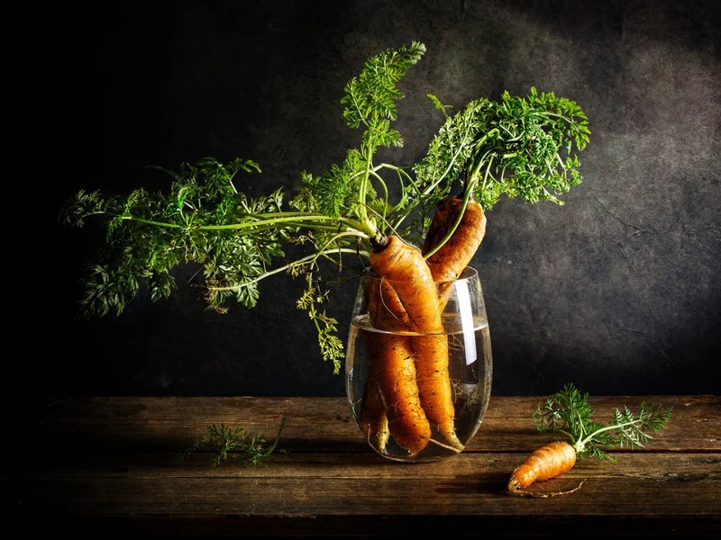 Fresh Carrots Still Life