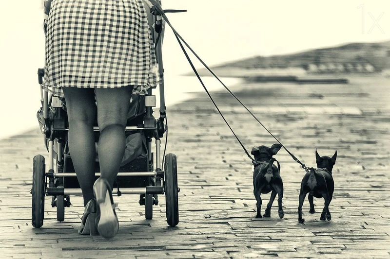 Vintage Stroll with Dogs
