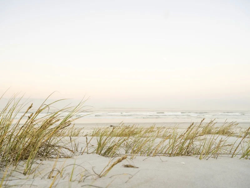 Ethereal Coastal Morning