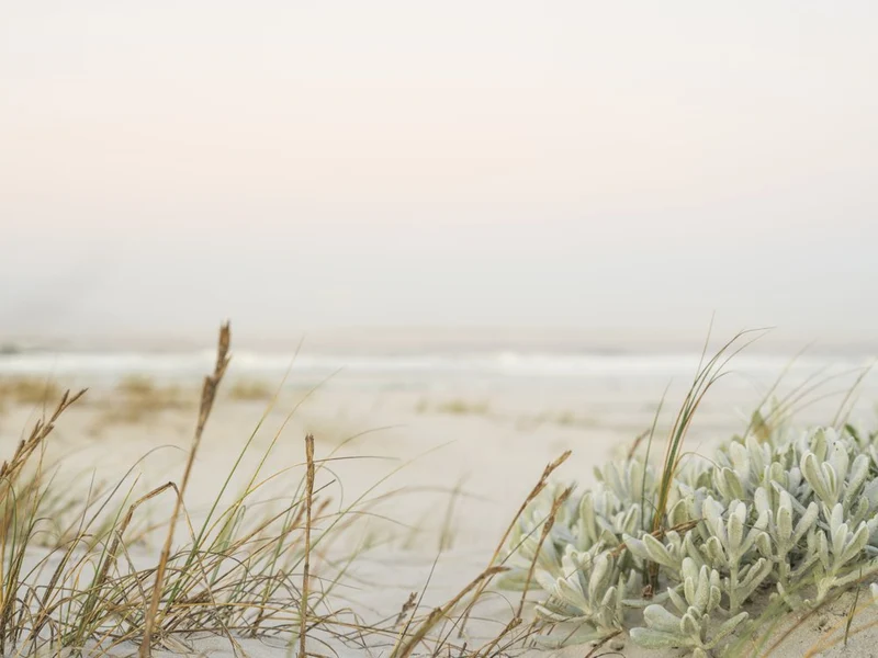 Coastal Whispers in Pastel