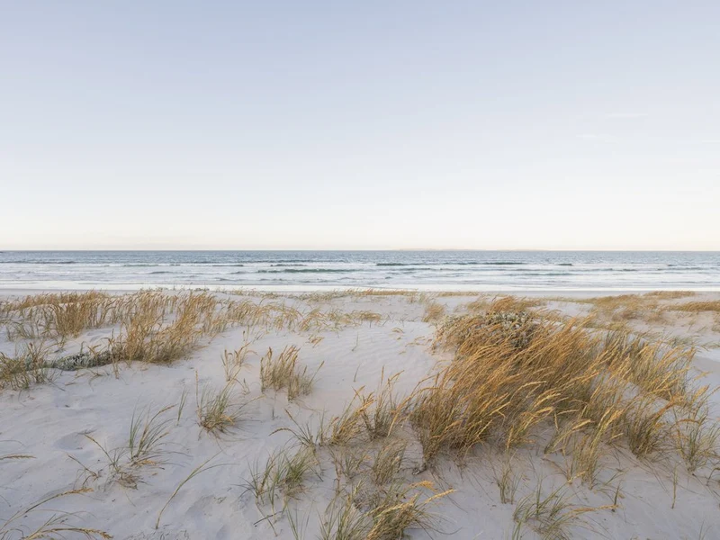 Serene Coastal Sands