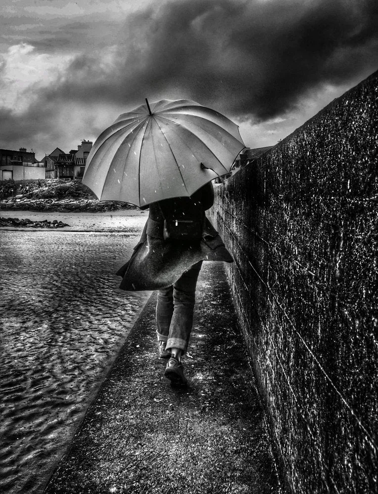 Solitary Rainy Path