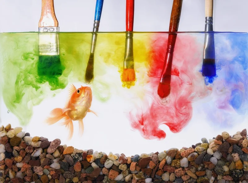 Goldfish And Brushes