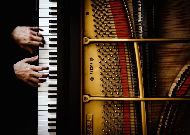 Musician Playing Piano