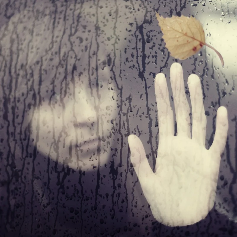 Autumn Rain Hand Reflection