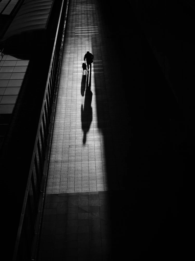 Man and Dog Shadow