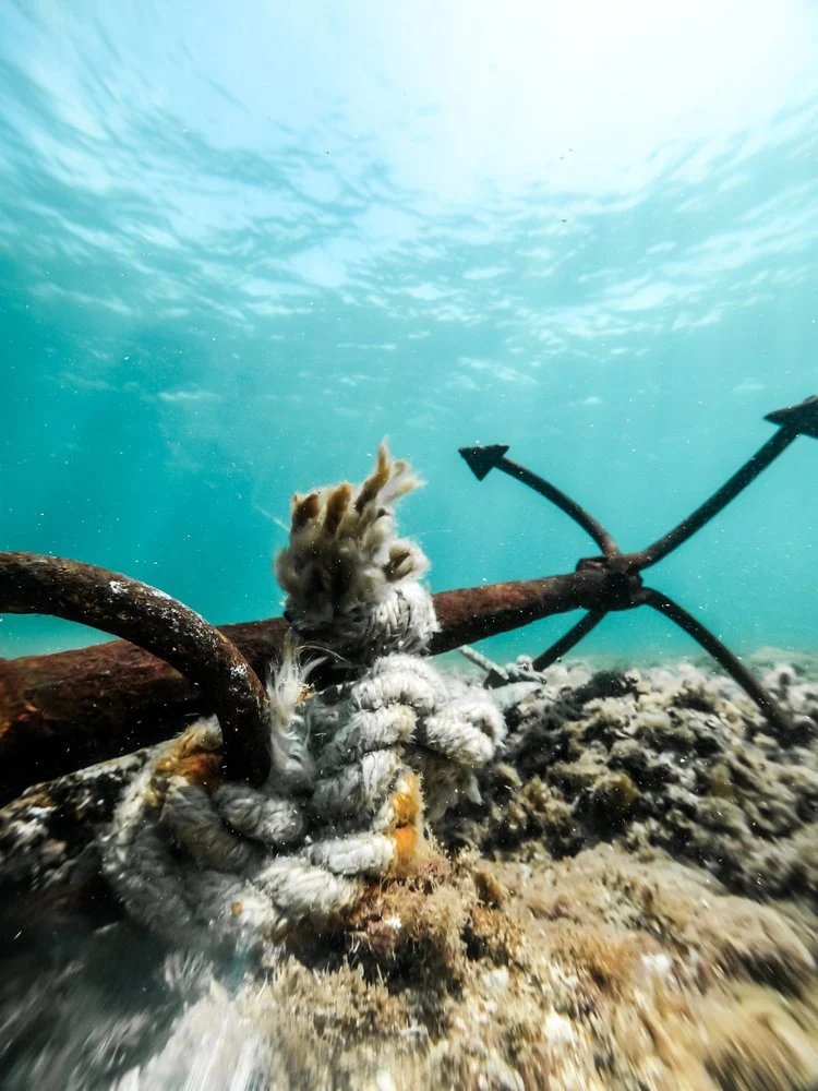 Rusty Anchor Underwater