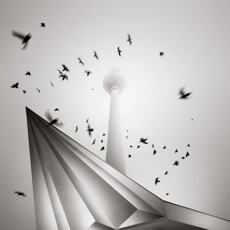 Berlin Tower Birds