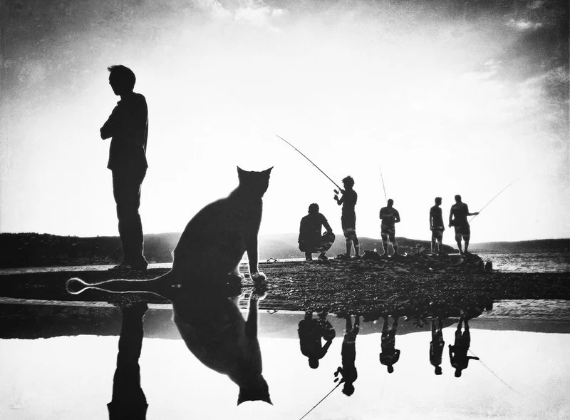 Man Cat Fishing Reflections