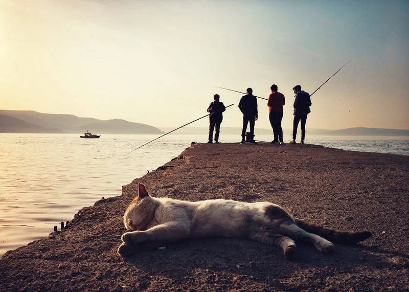 Fishermen and Sleeping Cat