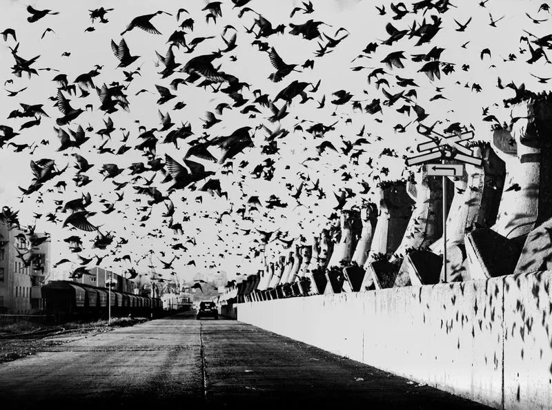 Dramatic Urban Flight