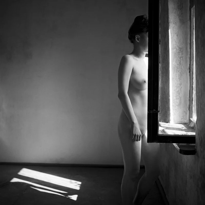 Nude In Window Light