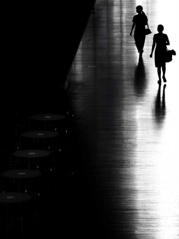 Bright Path Silhouettes