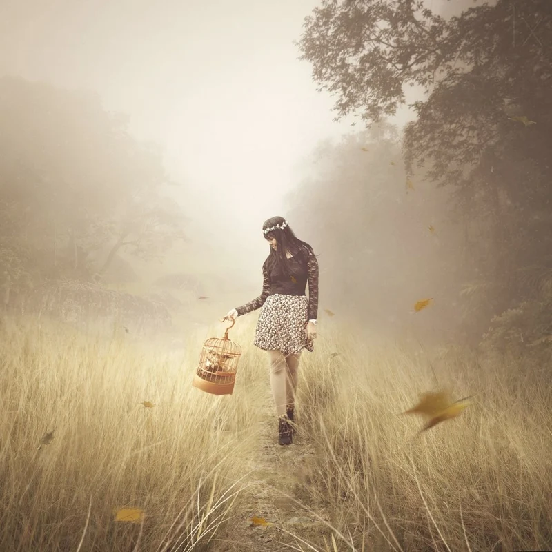 Misty Autumn Wander