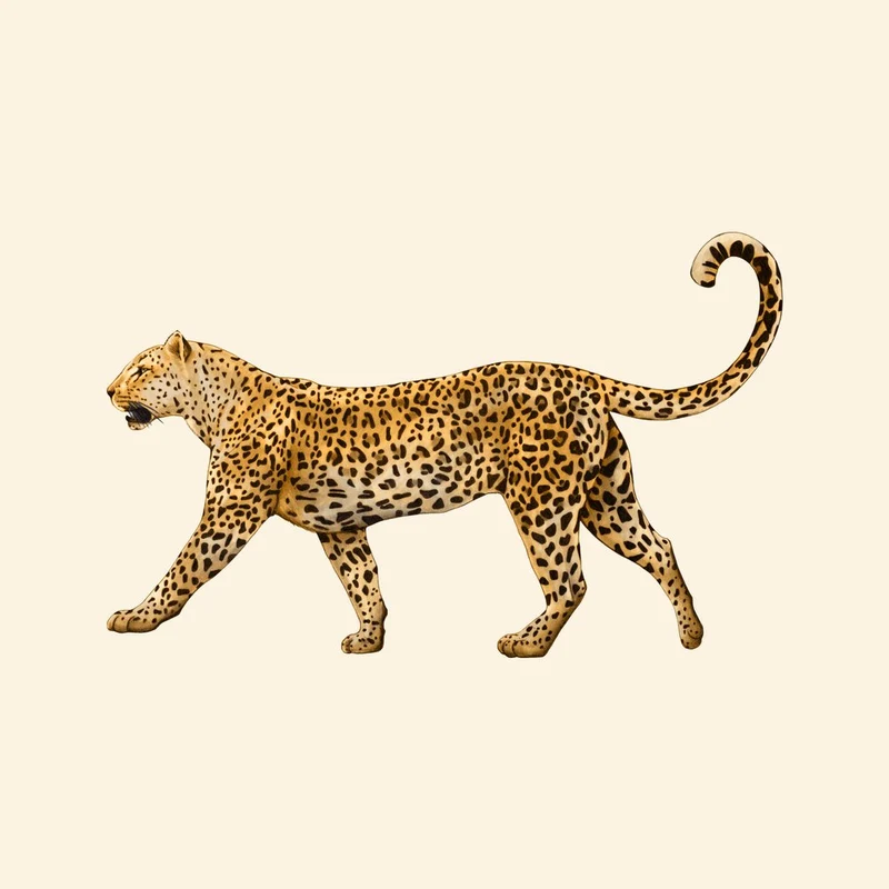 Majestic Walking Leopard