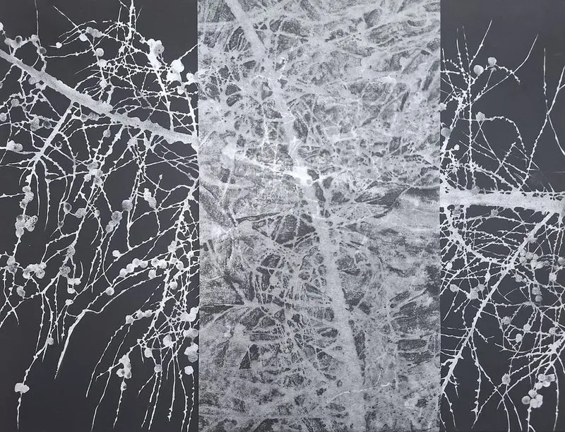 Abstract Winter Branches